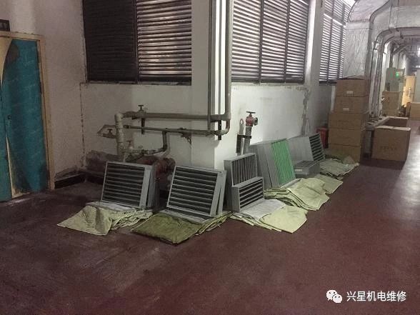 ���g�҃����C�M�S��